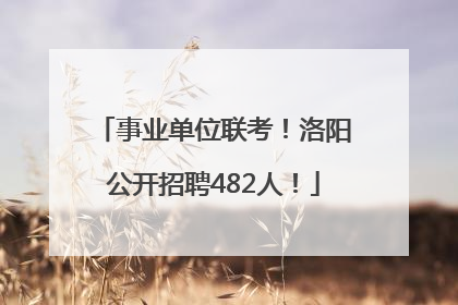 事业单位联考！洛阳公开招聘482人！